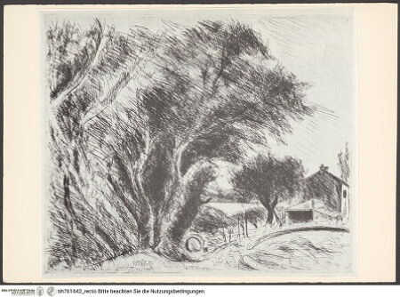 Vorderseite von bh761642_recto