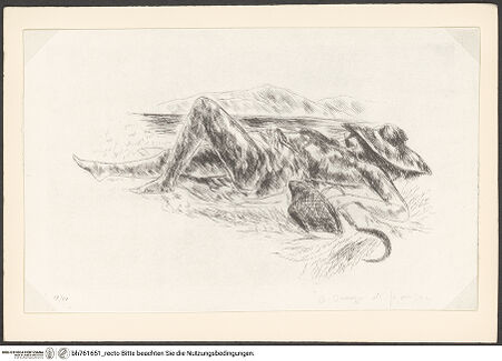 Vorderseite von bh761651_recto