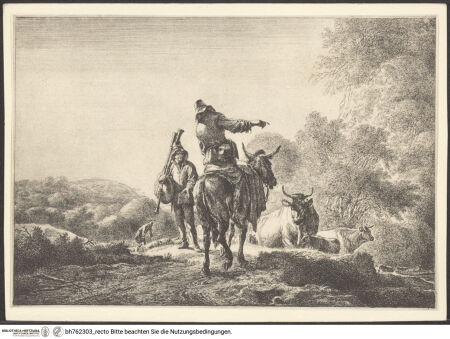 Vorderseite von bh762303_recto