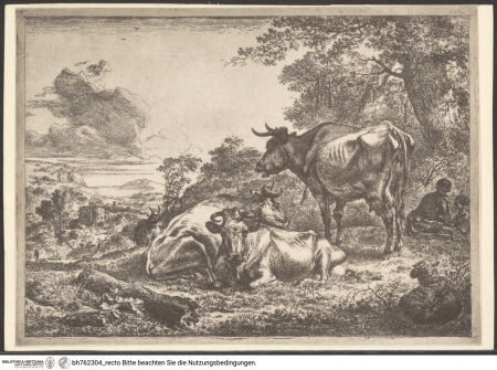 Vorderseite von bh762304_recto