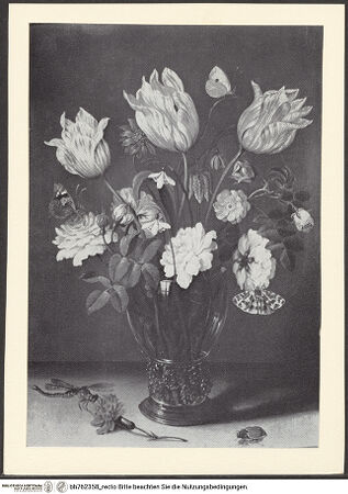 Vorderseite von bh762358_recto