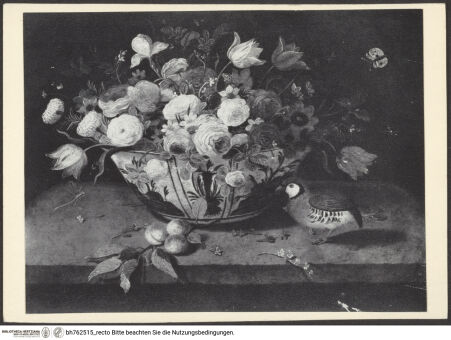 Vorderseite von bh762515_recto