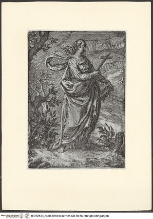 Vorderseite von bh762549_recto