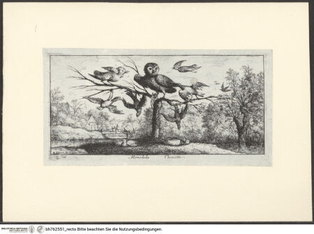 Vorderseite von bh762551_recto