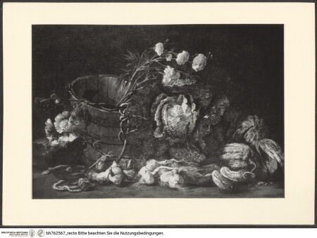 Vorderseite von bh762567_recto