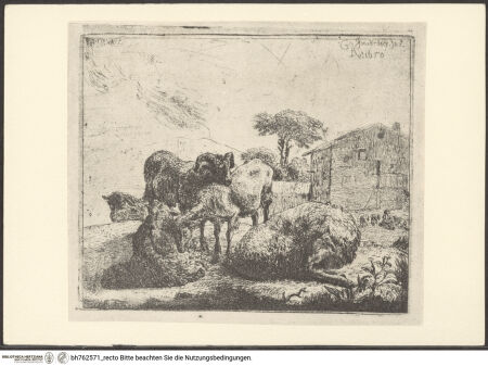 Vorderseite von bh762571_recto