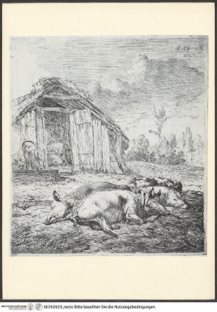 Vorderseite von bh762625_recto