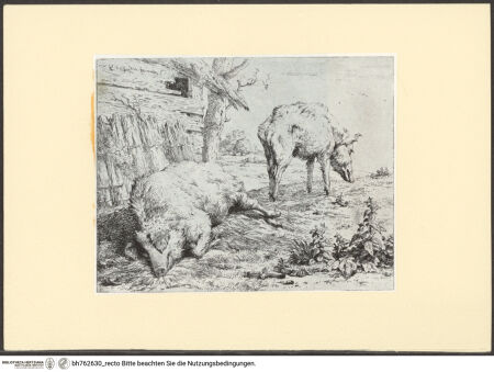 Vorderseite von bh762630_recto