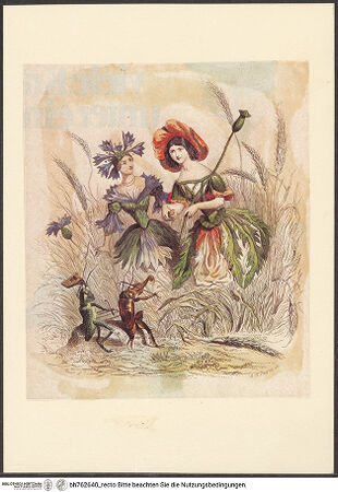 Vorderseite von bh762640_recto