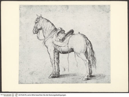 Vorderseite von bh762678_recto