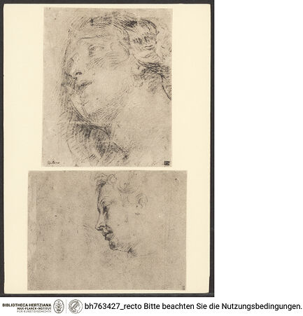 Vorderseite von bh763427_recto