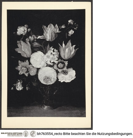 Vorderseite von bh763554_recto