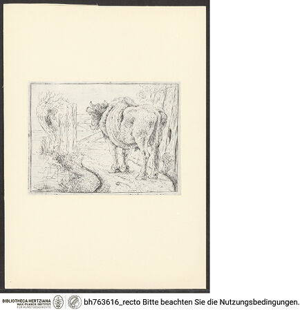 Vorderseite von bh763616_recto