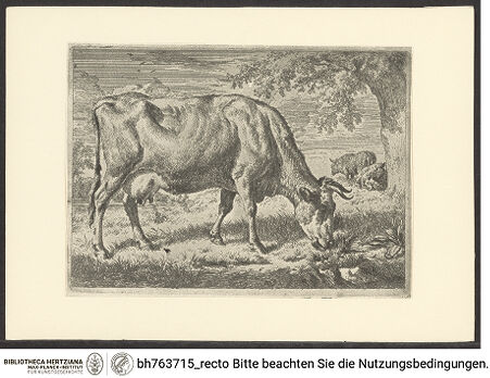 Vorderseite von bh763715_recto