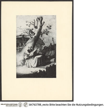 Vorderseite von bh763788_recto