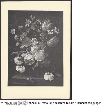 Vorderseite von bh763843_recto