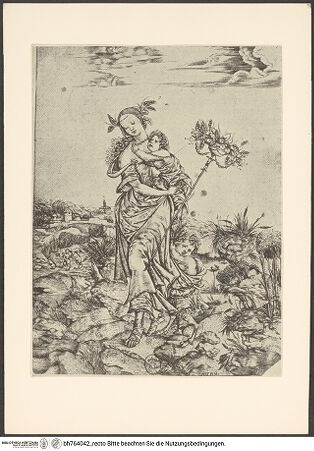 Vorderseite von bh764042_recto