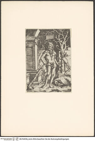 Vorderseite von bh764056_recto