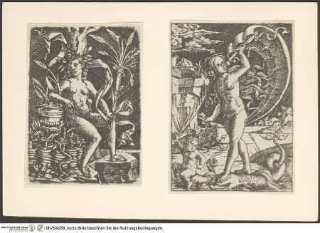 Vorderseite von bh764058_recto