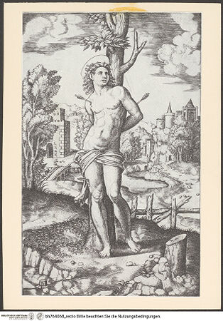 Vorderseite von bh764068_recto