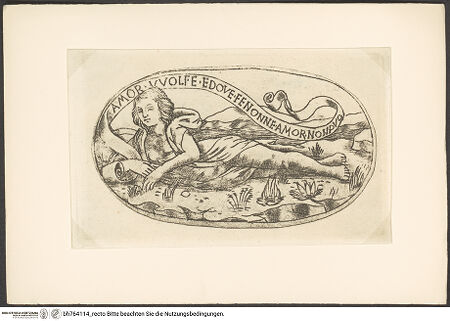 Vorderseite von bh764114_recto