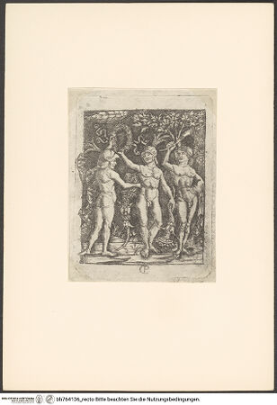 Vorderseite von bh764136_recto