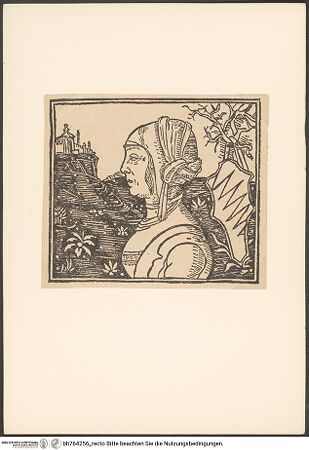 Vorderseite von bh764256_recto