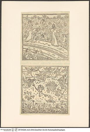 Vorderseite von bh764264_recto