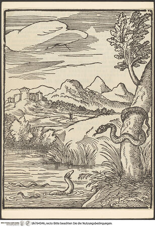 Vorderseite von bh764346_recto