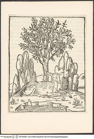 Vorderseite von bh764387_recto