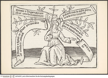 Vorderseite von bh764391_recto
