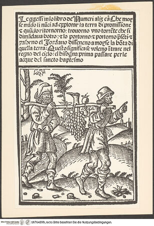 Vorderseite von bh764399_recto