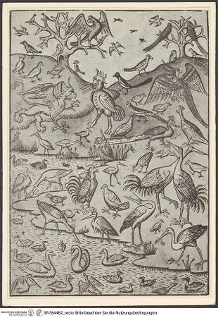 Vorderseite von bh764482_recto