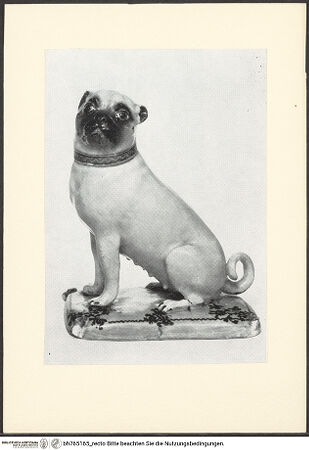 Vorderseite von bh765165_recto