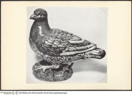 Vorderseite von bh765268_recto