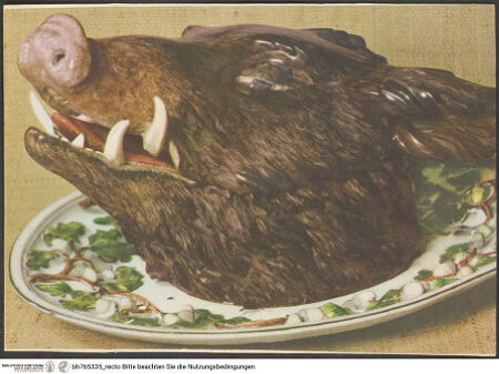 Vorderseite von bh765335_recto