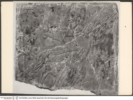 Vorderseite von bh765460_recto