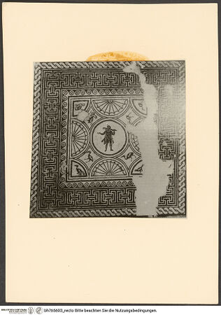 Vorderseite von bh765603_recto