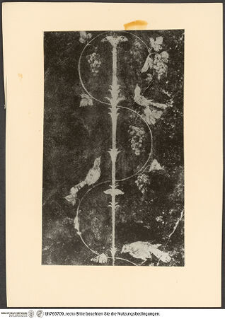 Vorderseite von bh765709_recto