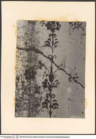 Vorderseite von bh765719_recto