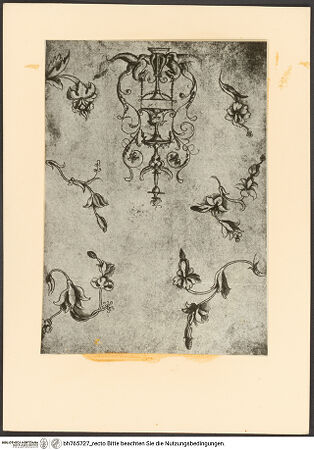 Vorderseite von bh765727_recto