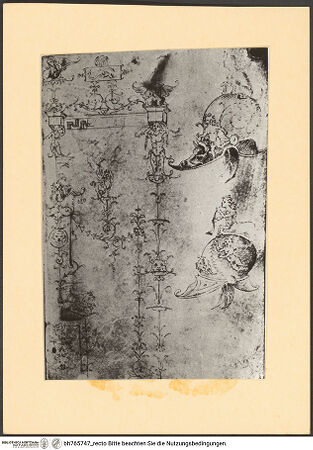 Vorderseite von bh765747_recto