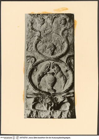 Vorderseite von bh765761_recto