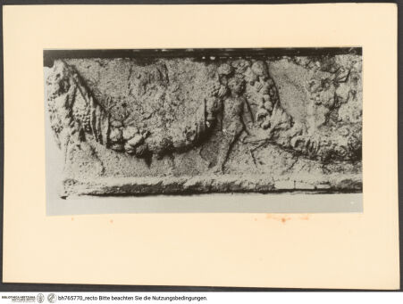 Vorderseite von bh765770_recto