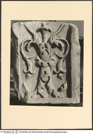 Vorderseite von bh765788_recto