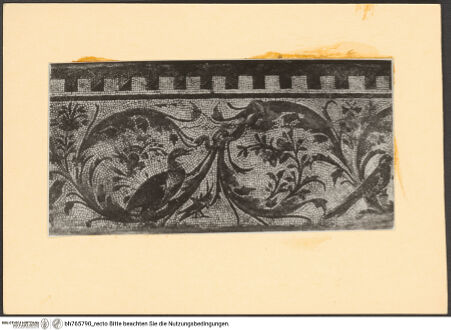 Vorderseite von bh765790_recto