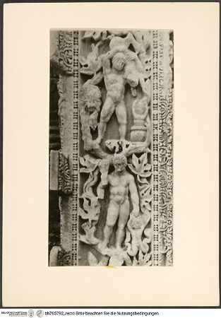 Vorderseite von bh765792_recto