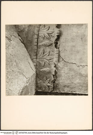 Vorderseite von bh765799_recto