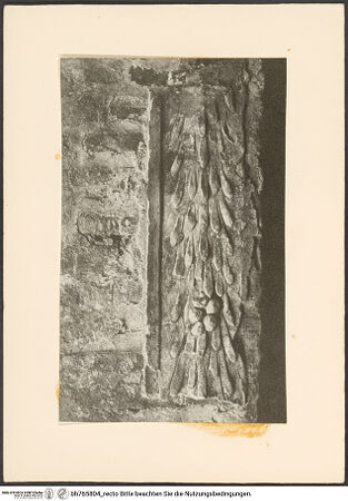 Vorderseite von bh765804_recto