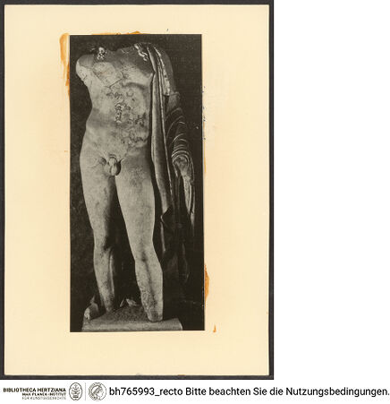 Vorderseite von bh765993_recto